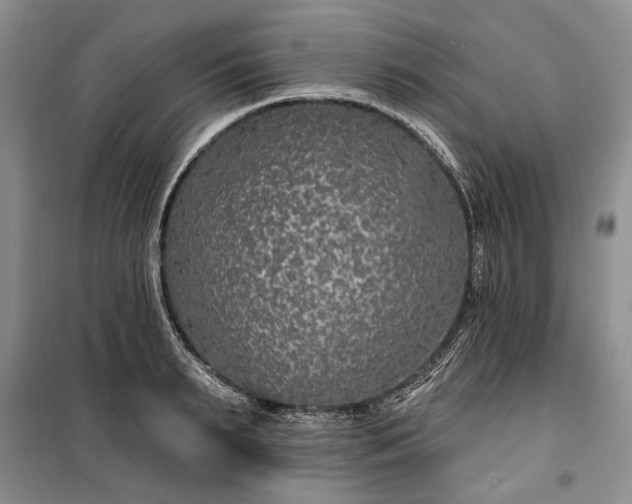 X0000100360895200806131012