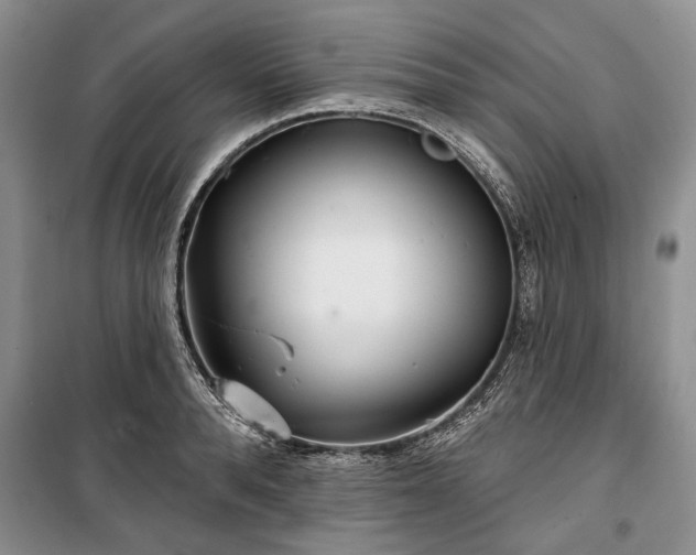 X0000100360896200806131012