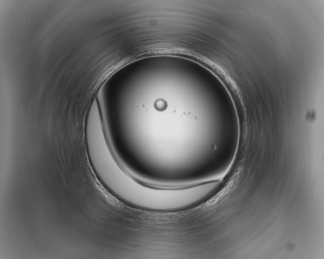 X0000100360897200806131012