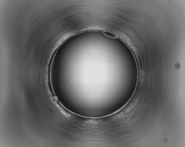 X0000100360898200806131012