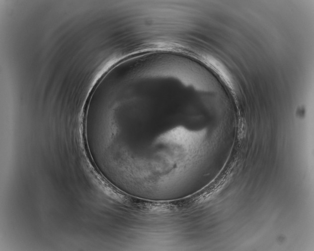 X0000100360899200806131012