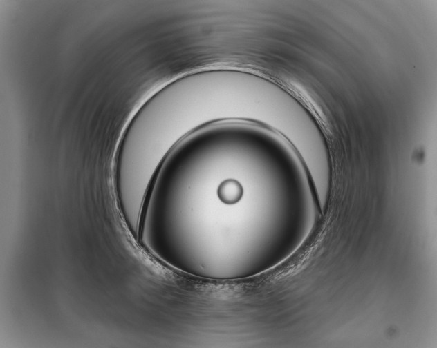 X0000100360900200806131012