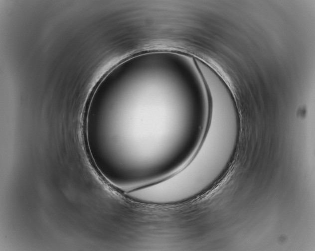 X0000100360901200806131012