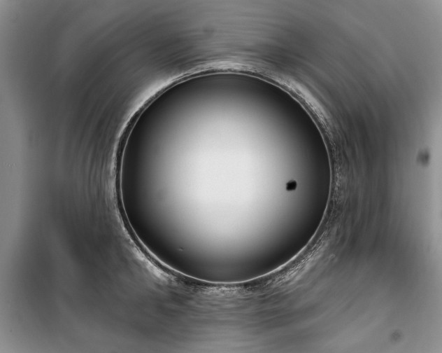 X0000100360902200806131012