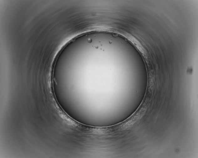 X0000100360904200806131012