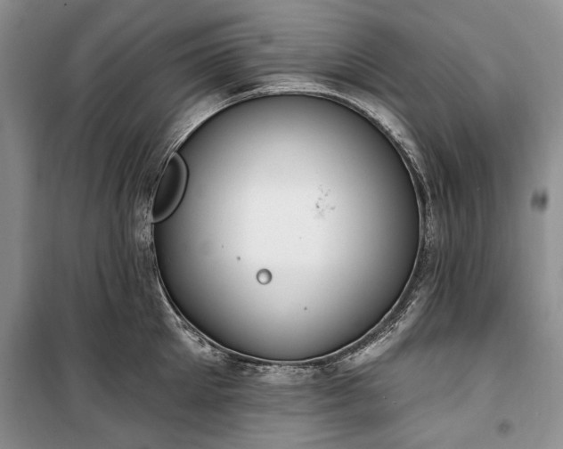 X0000100360905200806131012