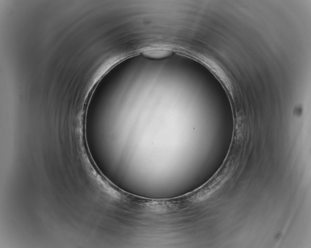 X0000100360906200806131012