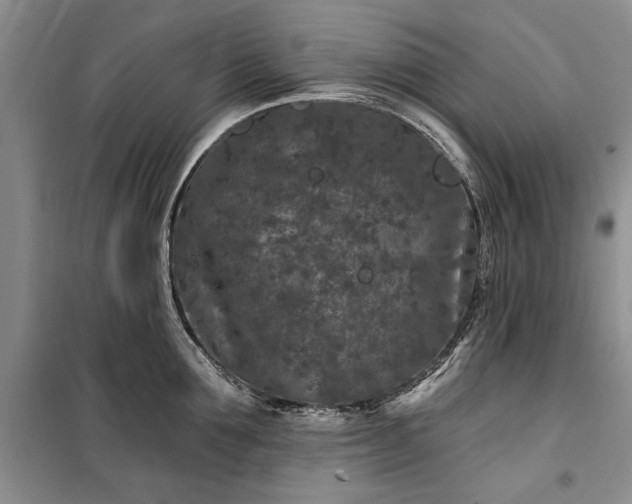 X0000100360907200806131012