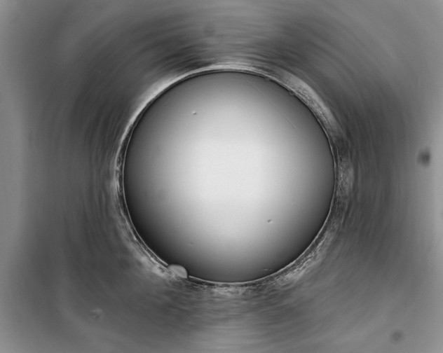 X0000100360908200806131012