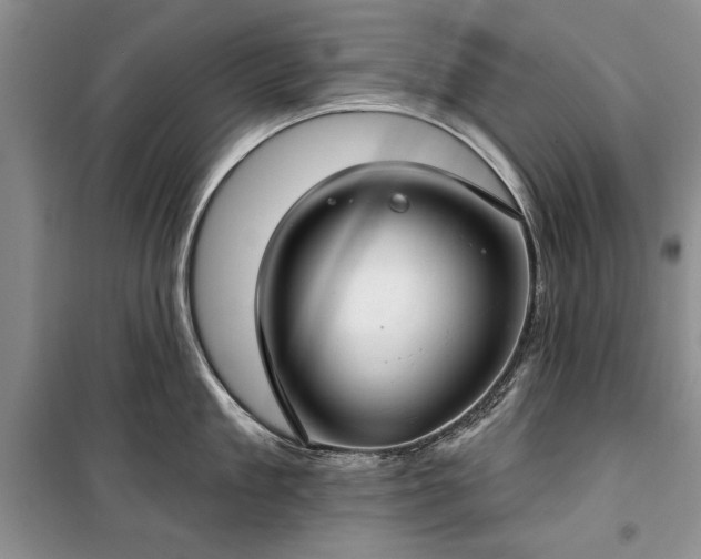 X0000100360909200806131012