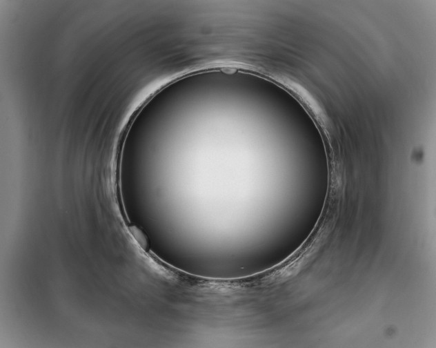 X0000100360910200806131012