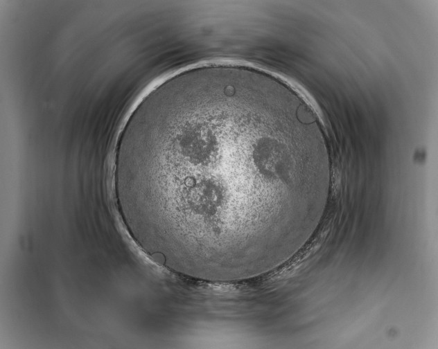 X0000100360911200806131012