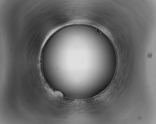 X0000100360912200806131012