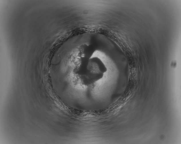 X0000100360913200806131011