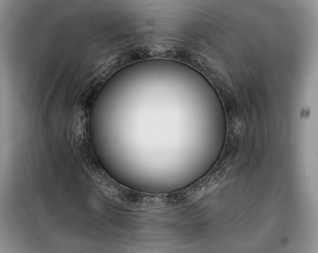 X0000100360914200806131011