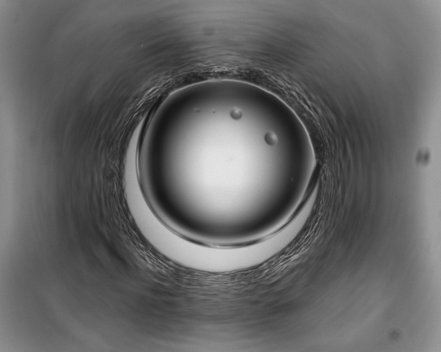 X0000100360916200806131012