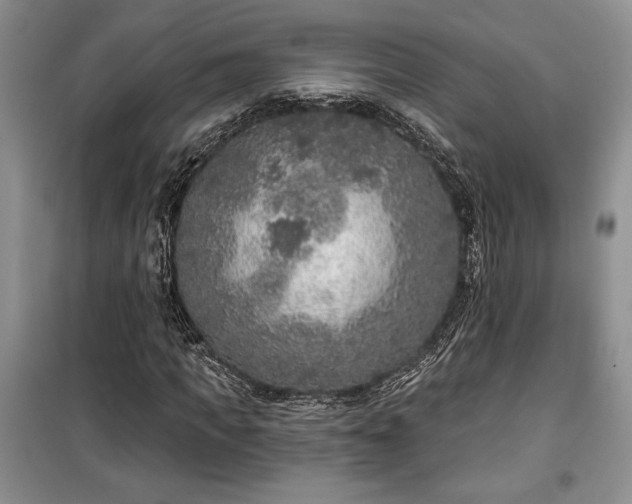 X0000100360917200806131012