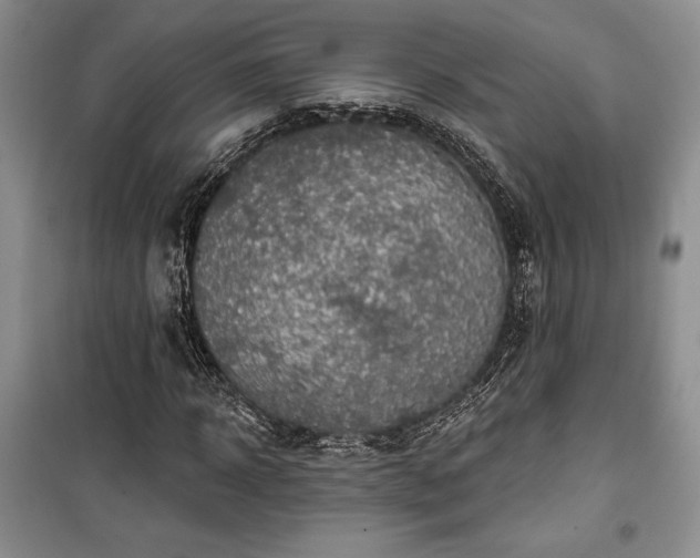 X0000100360918200806131012