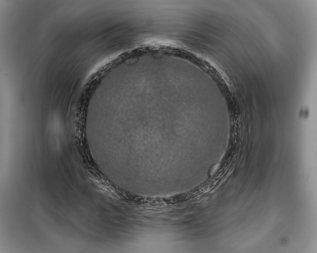 X0000100360919200806131012