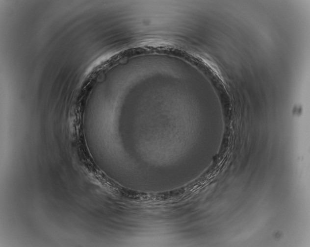 X0000100360920200806131012