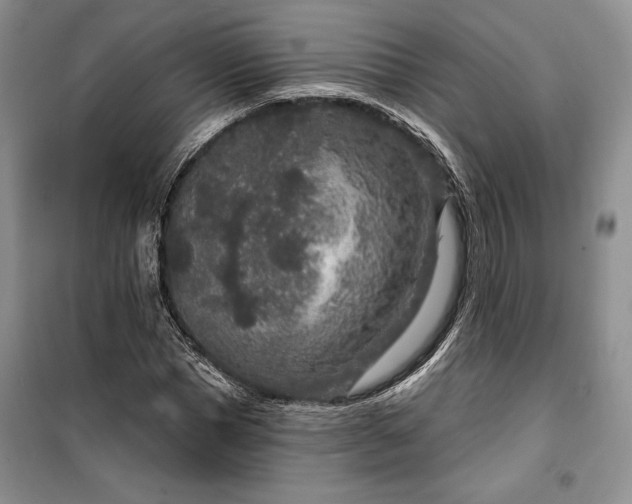 X0000100360921200806131012