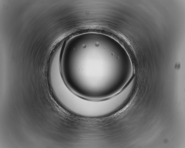 X0000100360922200806131012