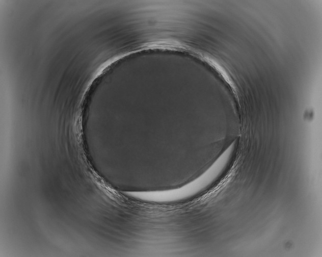 X0000100360923200806131012