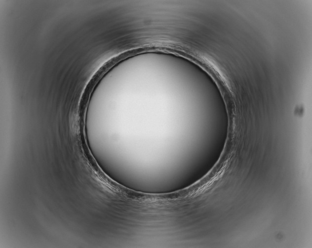 X0000100360924200806131012