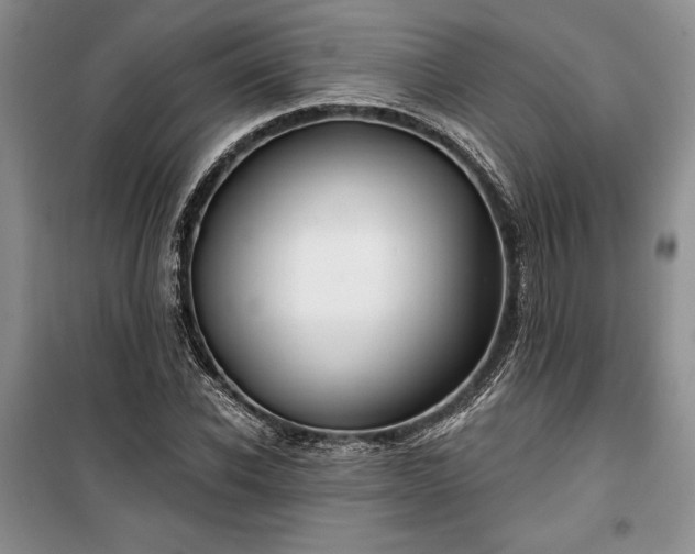 X0000100360926200806131012