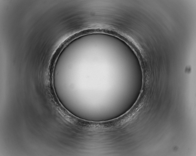 X0000100360927200806131012