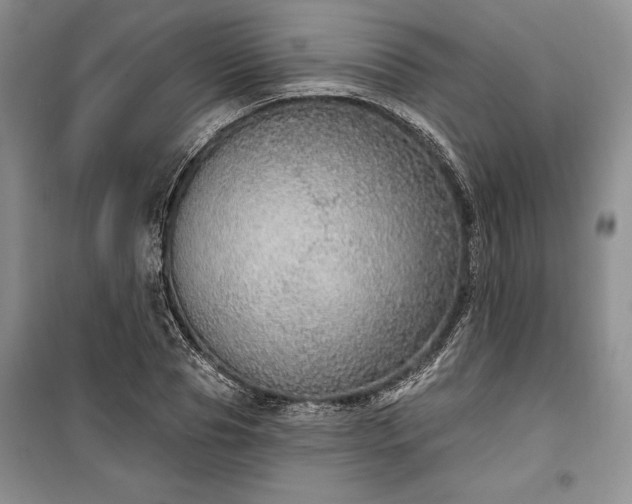 X0000100360929200806131012