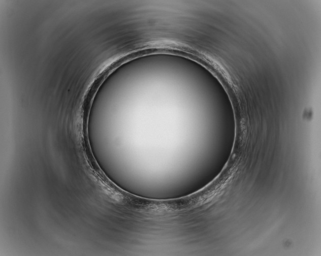 X0000100360931200806131012