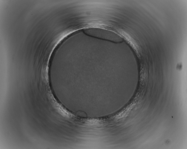 X0000100360932200806131012