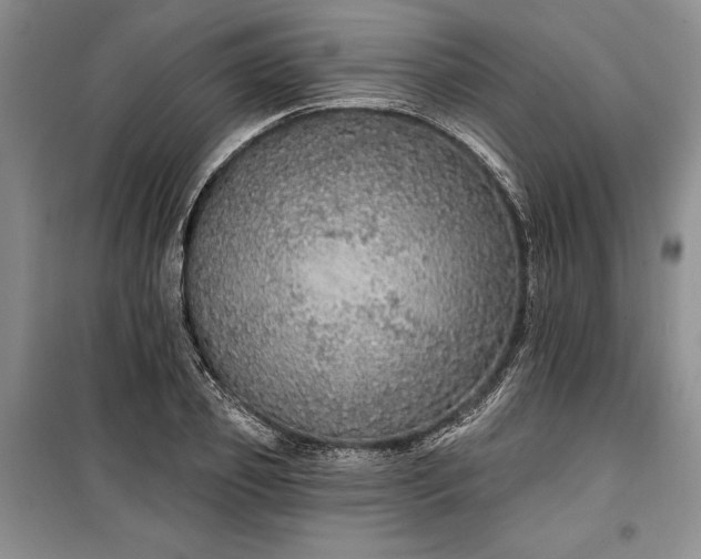 X0000100360933200806131012