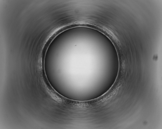 X0000100360934200806131012