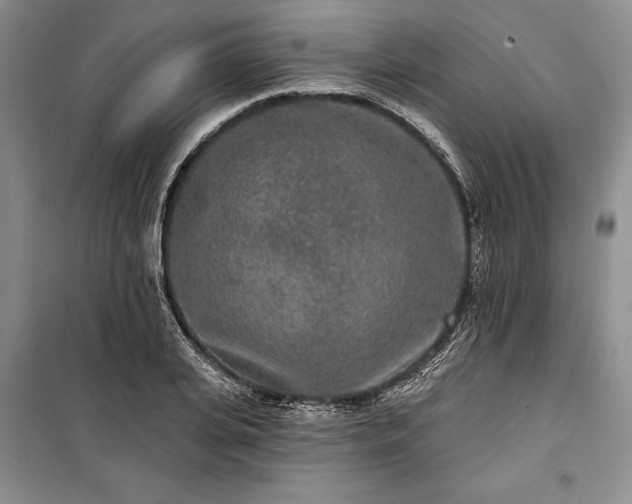 X0000100360935200806131012