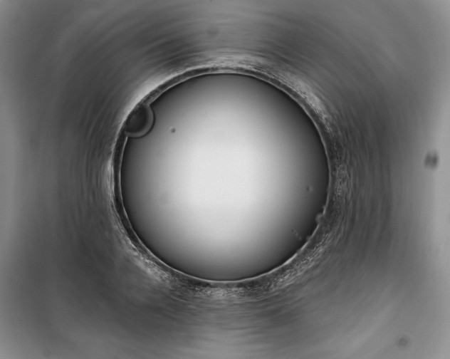 X0000100360936200806131012