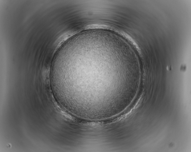 X0000100360937200806131012