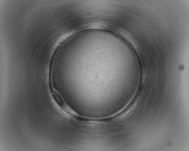 X0000100360938200806131012