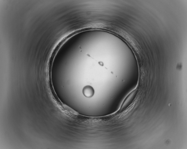 X0000100360939200806131012