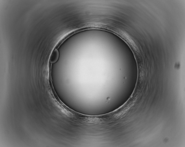 X0000100360940200806131012