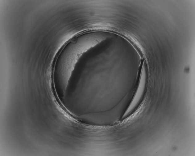 X0000100360941200806131012