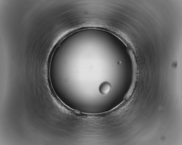 X0000100360942200806131012