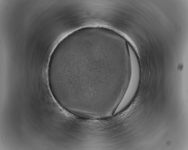 X0000100360943200806131012