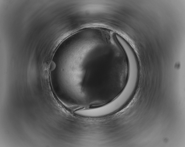 X0000100360945200806131012