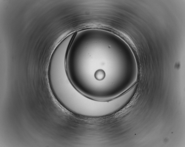 X0000100360946200806131012