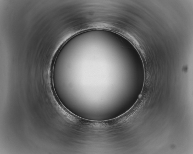 X0000100360947200806131012