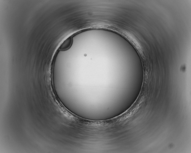 X0000100360948200806131012