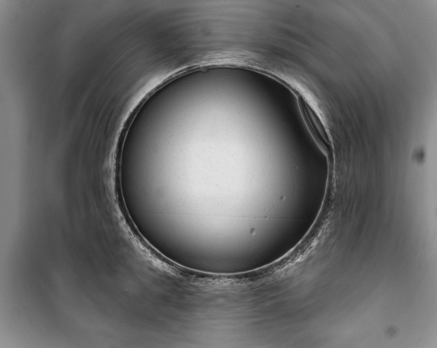 X0000100360949200806131012