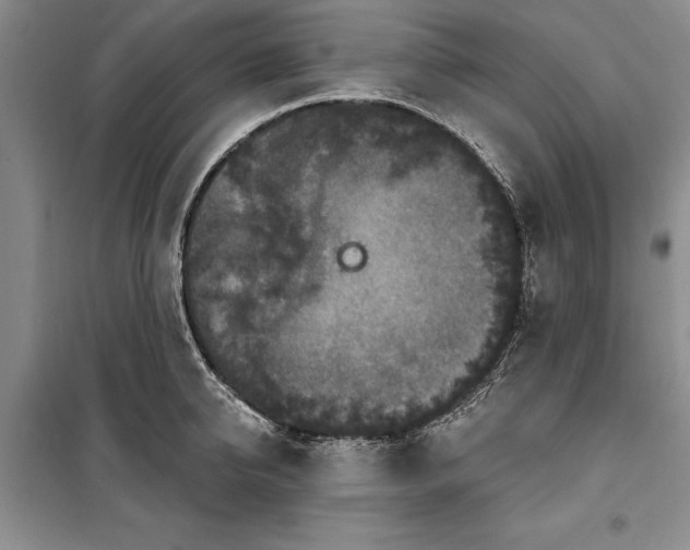 X0000100360950200806131012